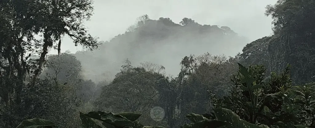 Paisaje de Zoncuantla