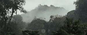 Paisaje de Zoncuantla