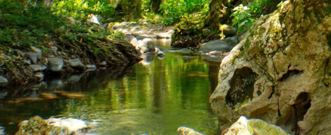 ¿Está contaminado el río Pixquiac?