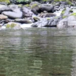Ríos sujetos de derechos