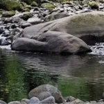 análisis de sedimentos del Pixquiac