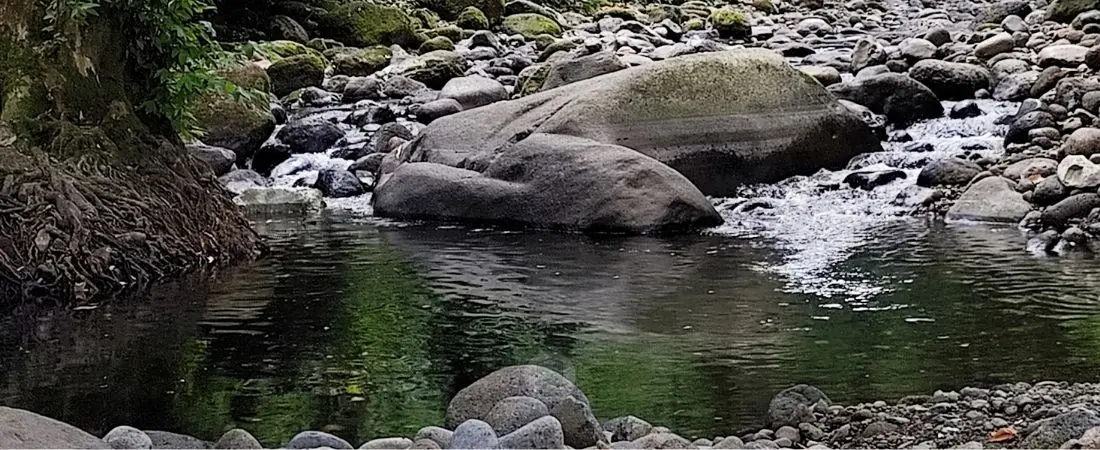 Río Pixquiac: entre el bosque y la contaminación