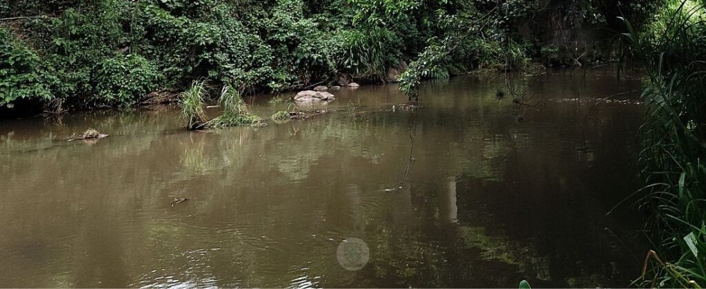 río sordo después de unirse al pixquiac