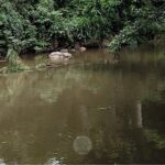 río sordo después de unirse al pixquiac