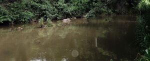 río sordo después de unirse al pixquiac